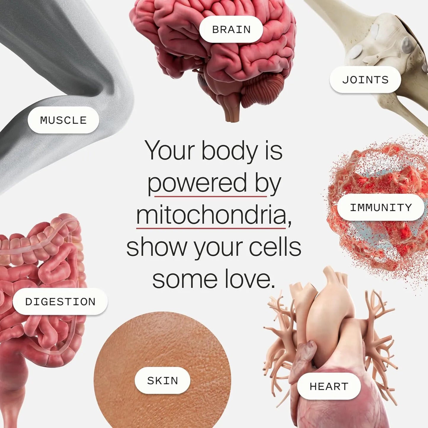Mitopure Softgels