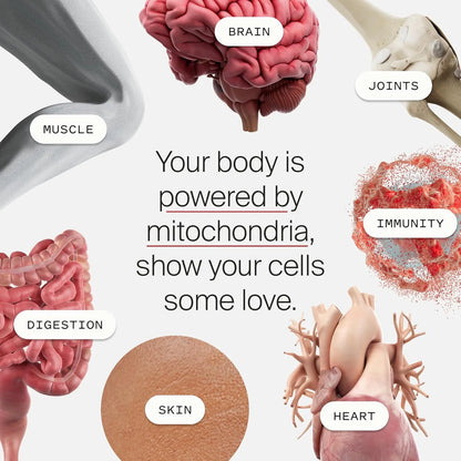 Mitopure Softgels